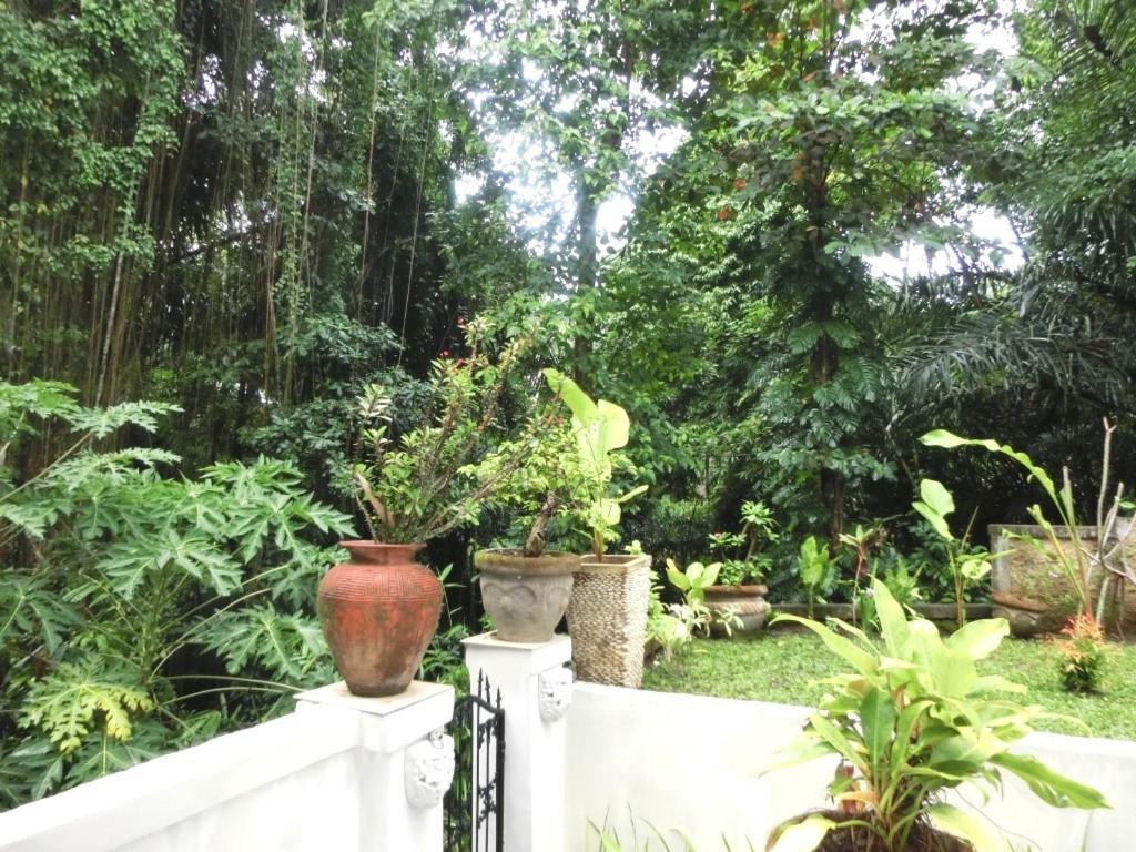 Latugu Homestay Ubud Habitación foto